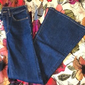 Pilcro Flare Jeans